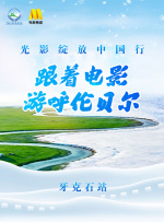 但问题在于类型元素的失衡。